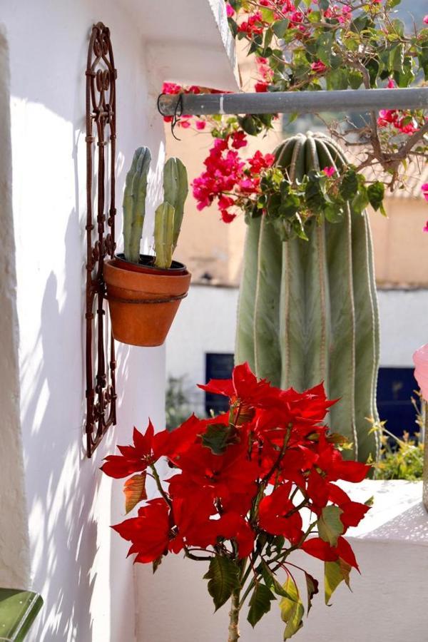 Casa Caballito De Mar Boutique B&B Bedar ภายนอก รูปภาพ