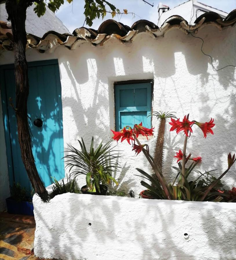 Casa Caballito De Mar Boutique B&B Bedar ภายนอก รูปภาพ