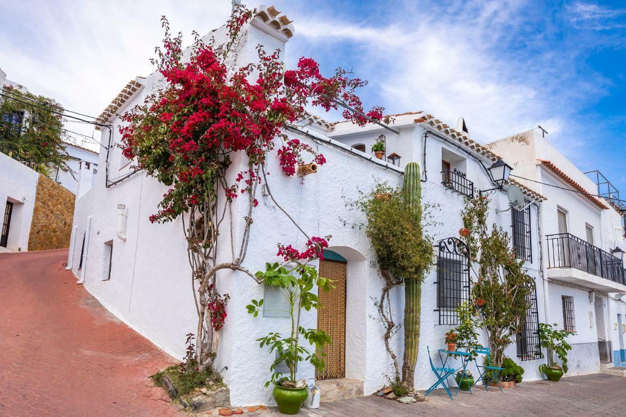 Casa Caballito De Mar Boutique B&B Bedar ภายนอก รูปภาพ